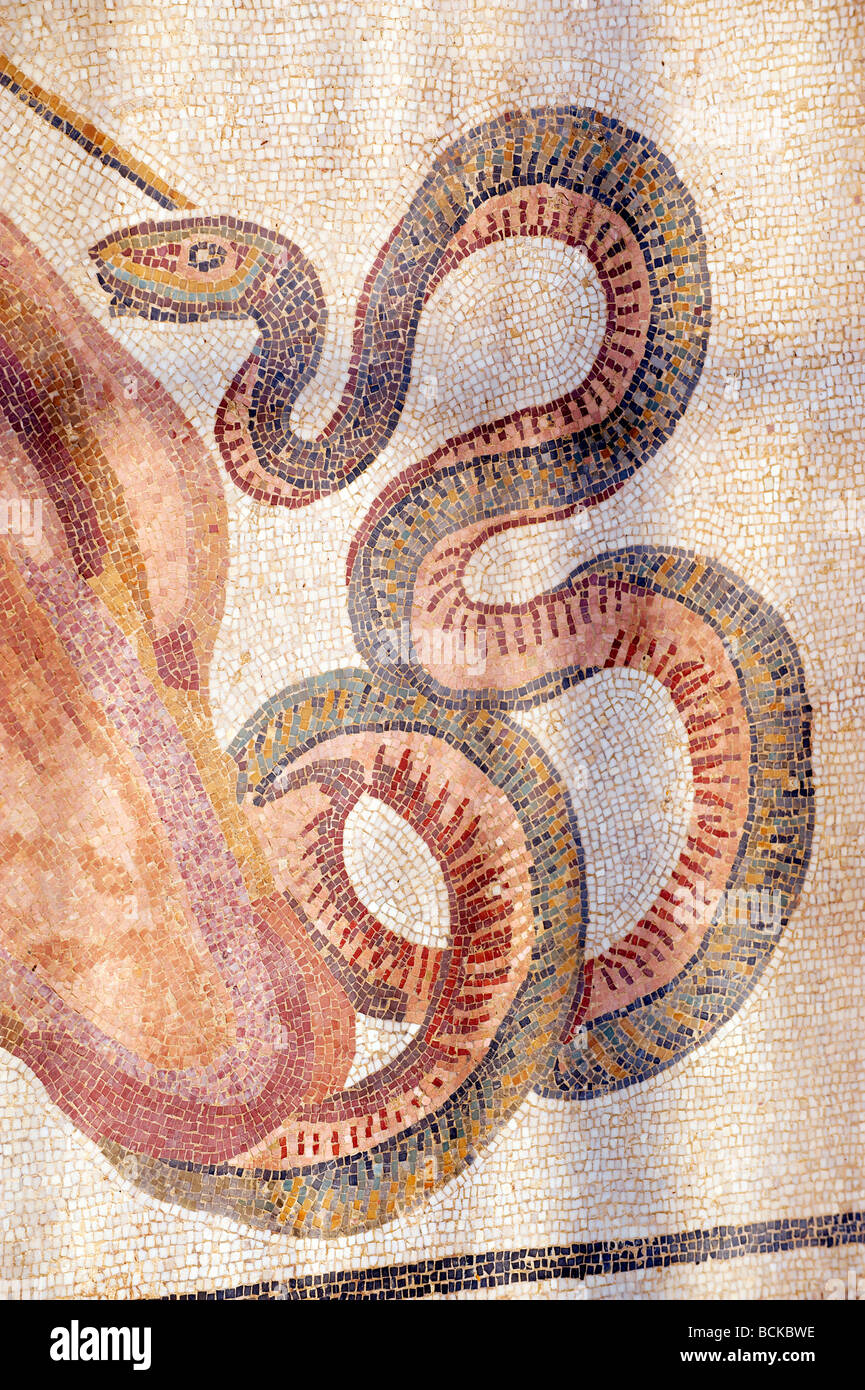 A mosaic of a coiling snake. Its belly is red and yellow and the rest of its body is mostly green.